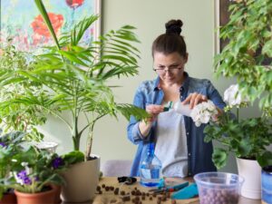 How To Make Homemade Fertilizer