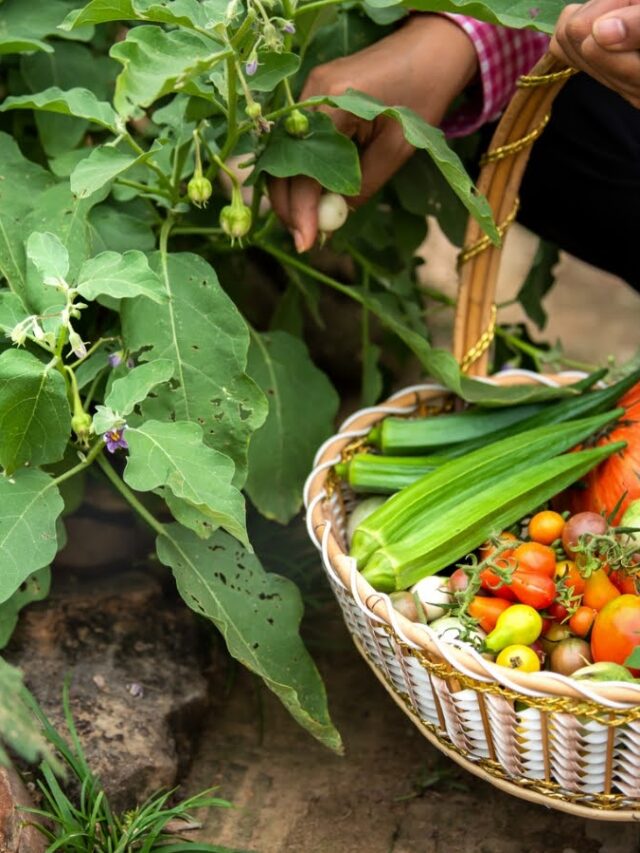 organic farming