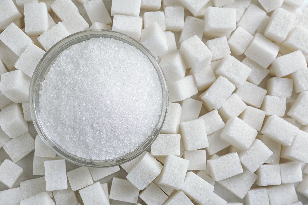 Sugar Impact on Gut