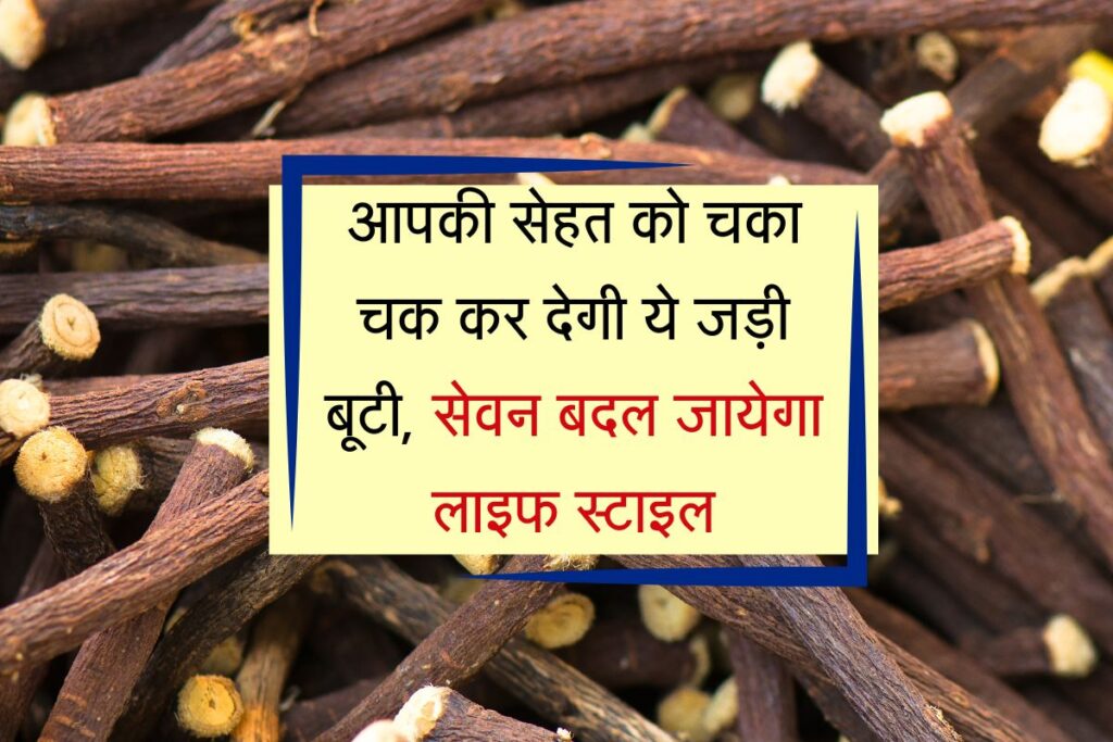 Benefits of Mulethi : आज हम आपको एक ऐसी आयुर्वेदिक जड़ी बूटी जो औषधि गुना से भरपूर होती है जिसका सेवन करके आप गले की खराश को तो दूर कर सकते ही हैं।