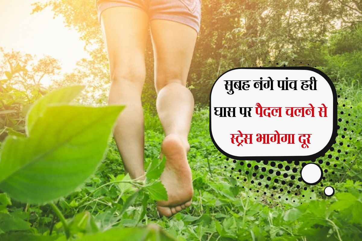 Walking Benefits: सुबह नंगे पांव हरी घास पर पैदल चलने से स्ट्रेस भागेगा दूर, मिलेंगे कई बड़े फायदे