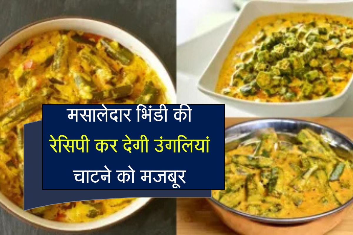 Masaledar Dahi Bhindi Recipe : अगर आप भी हैं मसालेदार भिंडी खाने के शौक़ीन, तो यह रेसिपी कर देगी उंगलियां चाटने को मजबूर