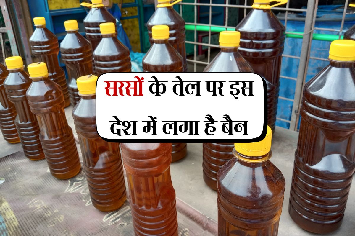 Sarso Oil